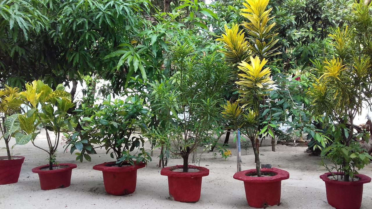 Marari Coastal Dreams Home Stay Alappuzha Ngoại thất bức ảnh
